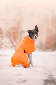 Jaegr Fleece